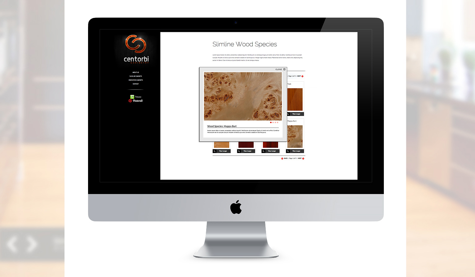 Wordpress Theme Customization & Development
