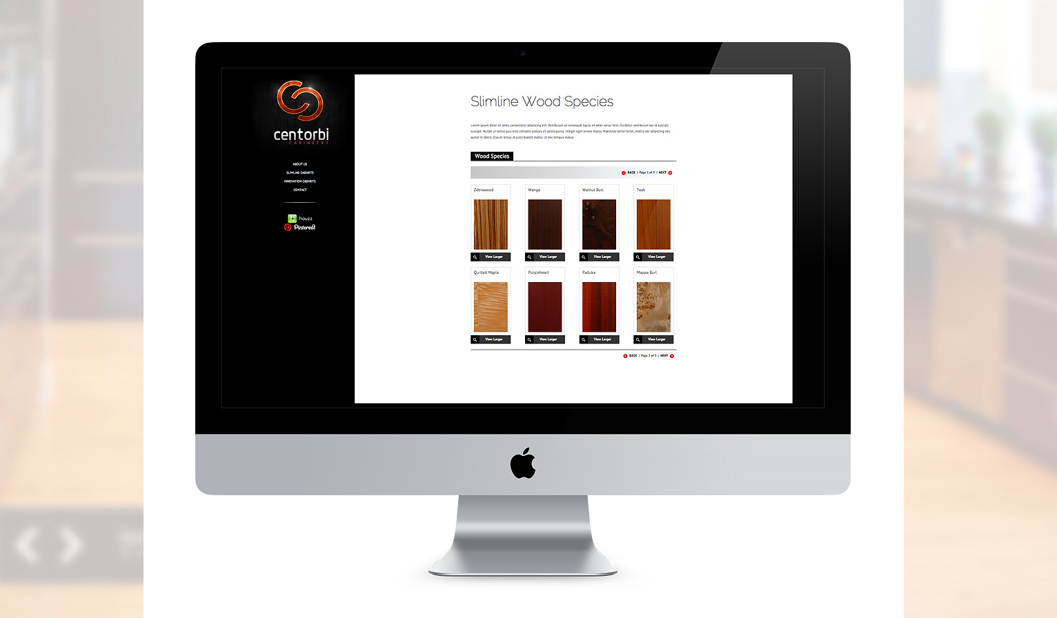 Wordpress Theme Customization & Development